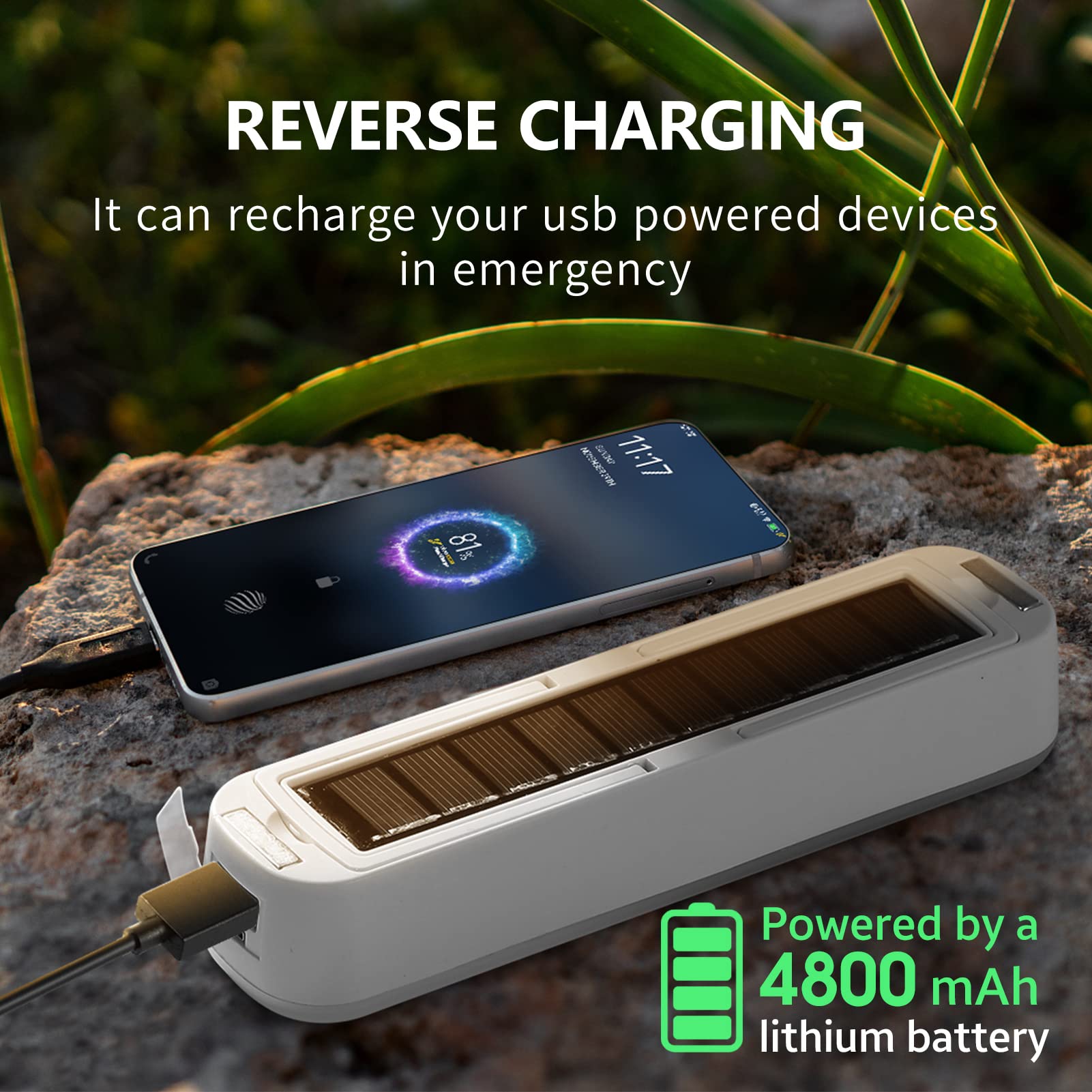 Solar Rechargeable Camping Lan - Renewable Energy Source incelemesi ve fiyatı